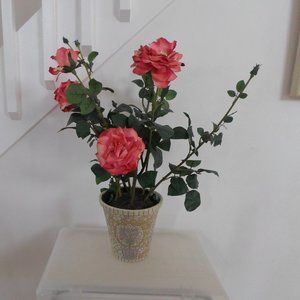 Roses in a Mosaic Planter Floral Arrangement